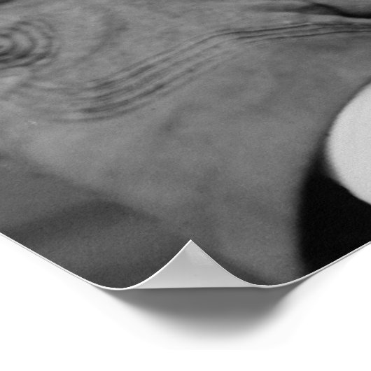 Edmund Kirby Smith Poster (Ecke)