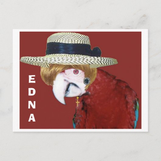 EDNA POSTKARTE (Vorderseite)