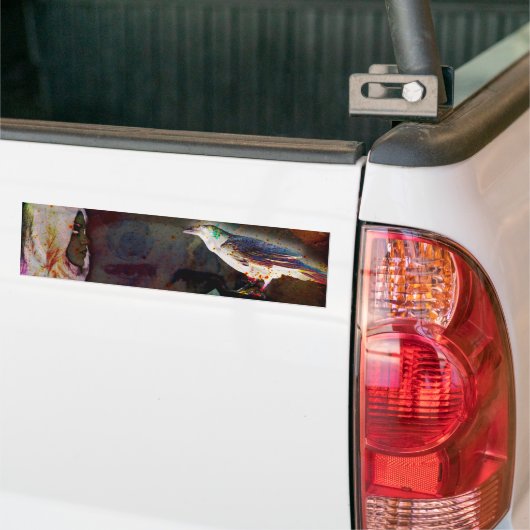 Edna Rabe Poe Autoaufkleber (Auf Lkw)