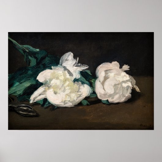 Edouard Manet - Zweig der Weißen Peonies, Secateur Poster (Vorne)