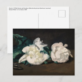 Edouard Manet - Zweig der Weißen Peonies, Secateur Postkarte