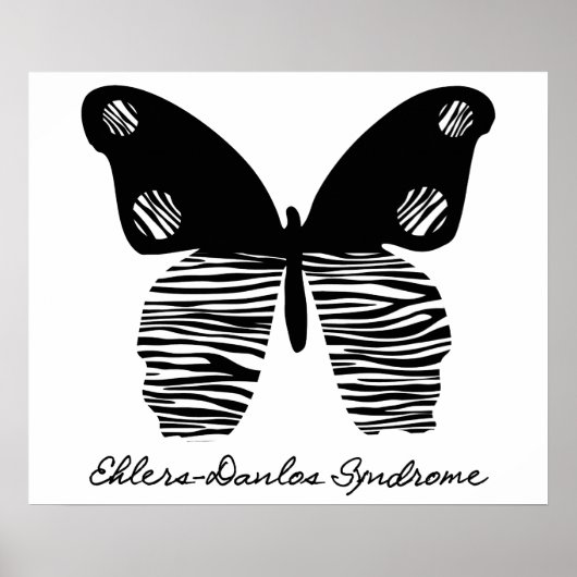EDS Zebra Stripe Butterfly 24X20 Poster (Vorne)