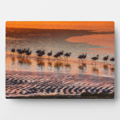 Eduardo Abaroa Andean Fauna National Reserve Fotoplatte (Vorderseite)