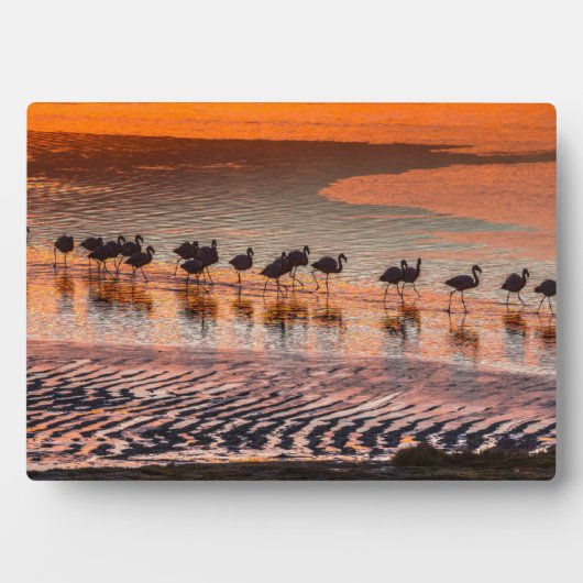 Eduardo Abaroa Andean Fauna National Reserve Fotoplatte (Vorderseite)