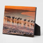 Eduardo Abaroa Andean Fauna National Reserve Fotoplatte (Seite)