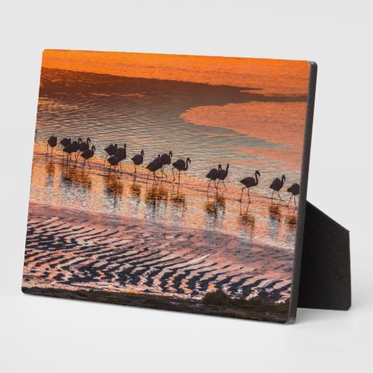 Eduardo Abaroa Andean Fauna National Reserve Fotoplatte (Seite)