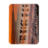 Eduardo Abaroa Andean Fauna National Reserve Magnet (Vertikal)