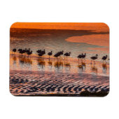 Eduardo Abaroa Andean Fauna National Reserve Magnet (Horizontal)
