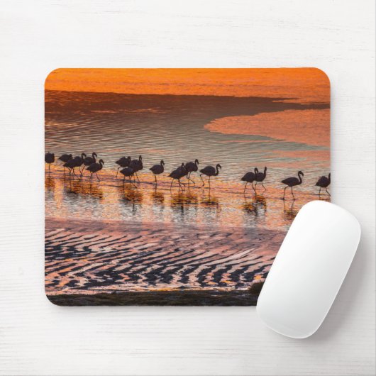 Eduardo Abaroa Andean Fauna National Reserve Mousepad (Mit Mouse)