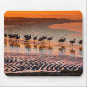 Eduardo Abaroa Andean Fauna National Reserve Mousepad (Vorne)