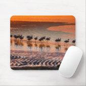 Eduardo Abaroa Andean Fauna National Reserve Mousepad (Mit Mouse)