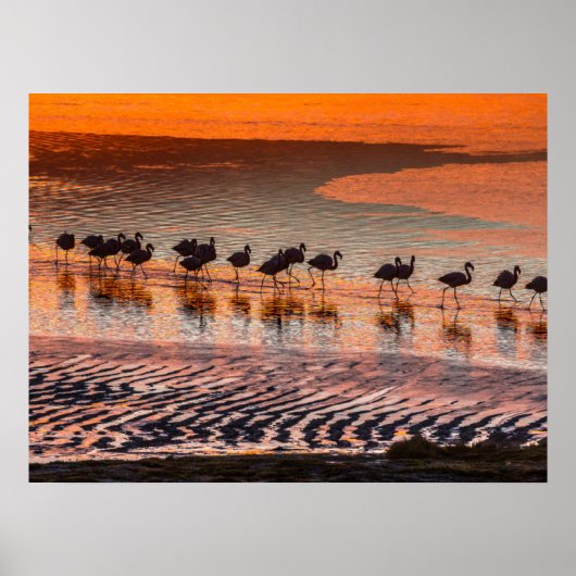 Eduardo Abaroa Andean Fauna National Reserve Poster (Vorne)