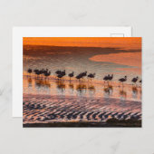 Eduardo Abaroa Andean Fauna National Reserve Postkarte (Vorne/Hinten)