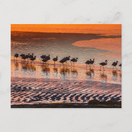 Eduardo Abaroa Andean Fauna National Reserve Postkarte (Vorderseite)