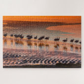 Eduardo Abaroa Andean Fauna National Reserve Puzzle (Horizontal)