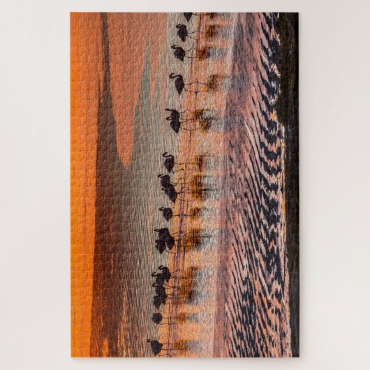 Eduardo Abaroa Andean Fauna National Reserve Puzzle (Vertikal)