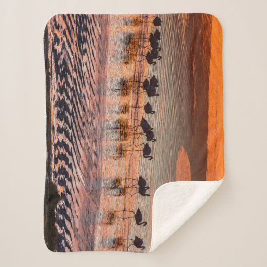 Eduardo Abaroa Andean Fauna National Reserve Sherpadecke (Vorderseite)