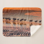 Eduardo Abaroa Andean Fauna National Reserve Sherpadecke (Vorderseite (Horizontal))