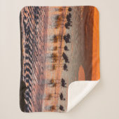 Eduardo Abaroa Andean Fauna National Reserve Sherpadecke (Vorderseite)