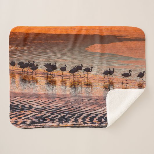 Eduardo Abaroa Andean Fauna National Reserve Sherpadecke (Vorderseite (Horizontal))