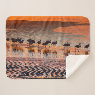 Eduardo-Abaroa-Anden-Fauna-Nationalreservat Sherpadecke