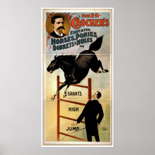 Educated horses, ponies, donkeys, and Mules Poster (Vorne)