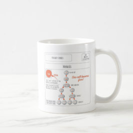 EduPaper Produkt-Mitose-und Kaffeetasse