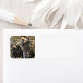 Edward Jones - Der Anfang von Merlin (Insitu)