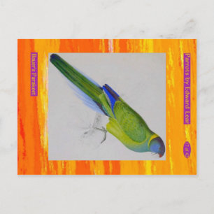 Edward Lear. Bauer's Parakeet. Postkarte