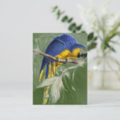 Edward Lear Bird Collection Blue and Yellow Macaw Postkarte (Stehend Vorderseite)