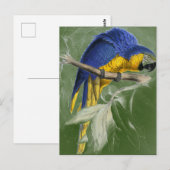 Edward Lear Bird Collection Blue and Yellow Macaw Postkarte (Vorne/Hinten)