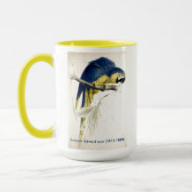 Edward Lear Bird Collection Blue and Yellow Macaw