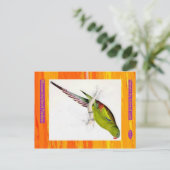 Edward Lear. Blossom-gefedertes Parakeet. Postkarte (Stehend Vorderseite)