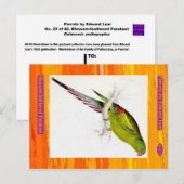 Edward Lear. Blossom-gefedertes Parakeet. Postkarte (Vorne/Hinten)