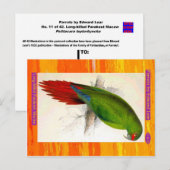 Edward Lear. Langschnabeles Parakeet Macaw. Postkarte (Vorne/Hinten)