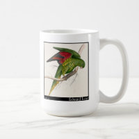 Edward Lear Matons Parakeet