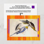 Edward Lear. New Holland Parakeet. Männlich und we Postkarte (Vorne/Hinten)