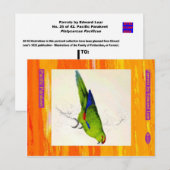 Edward Lear. Pacific Parakeet. Postkarte (Vorne/Hinten)
