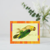 Edward Lear. Papagei. Postkarte (Stehend Vorderseite)