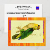 Edward Lear. Papagei. Postkarte (Vorne/Hinten)