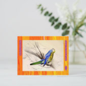Edward Lear. Parakeet mit blass Kopf. Postkarte (Stehend Vorderseite)