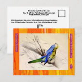 Edward Lear. Parakeet mit blass Kopf. Postkarte (Vorne/Hinten)