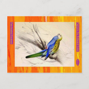 Edward Lear. Parakeet mit blass Kopf. Postkarte