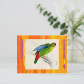 Edward Lear. Paraket mit roter Front. Postkarte (Stehend Vorderseite)