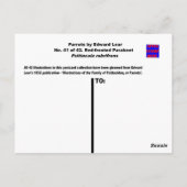 Edward Lear. Paraket mit roter Front. Postkarte (Rückseite)