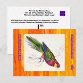 Edward Lear. Stanley Parakeet. Erwachsener männlic Postkarte (Vorne/Hinten)