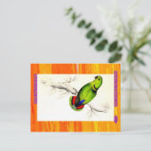 Edward Lear. Swindern's Parakeet. Postkarte (Stehend Vorderseite)
