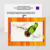 Edward Lear. Swindern's Parakeet. Postkarte (Vorne/Hinten)