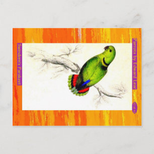 Edward Lear. Swindern's Parakeet. Postkarte