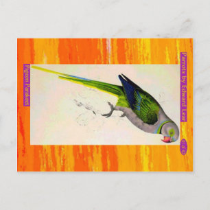 Edward Lear. Taubenparaket. Postkarte